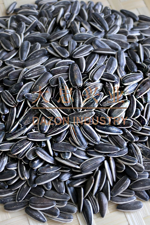 sunflower seed